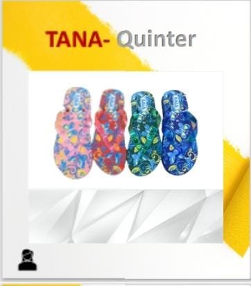 QUINTER 30-35 (60 PAIRS)